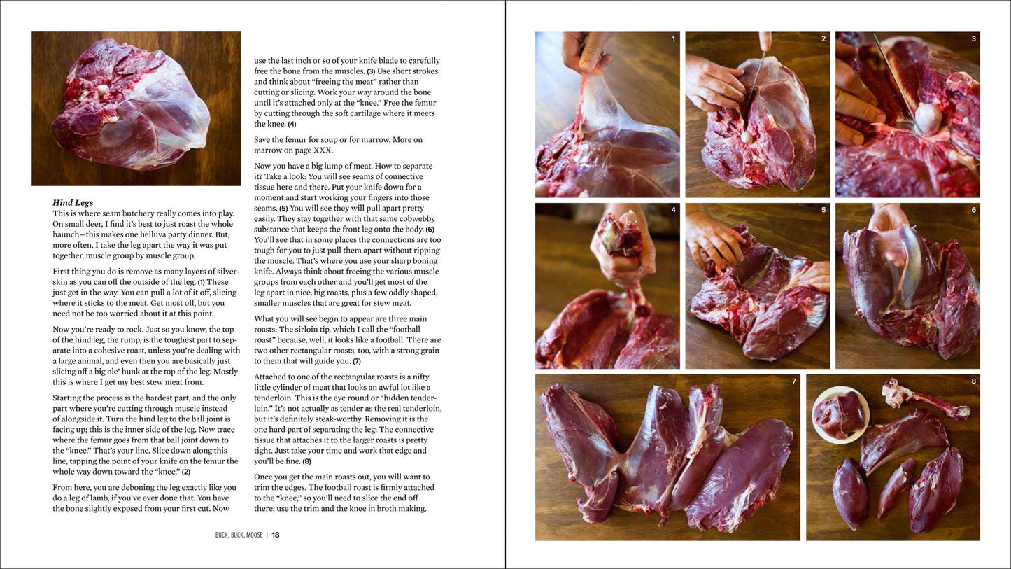 Book - Buck, Buck, Moose