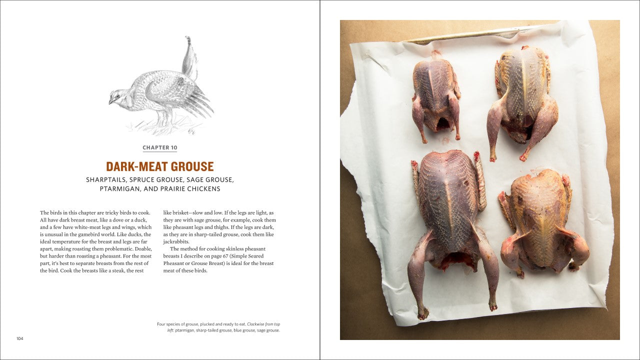 UNSIGNED Copy of Pheasant, Quail, Cottontail